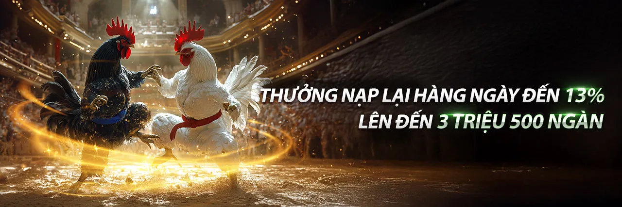 Sân đá gà trực tuyến SCV288