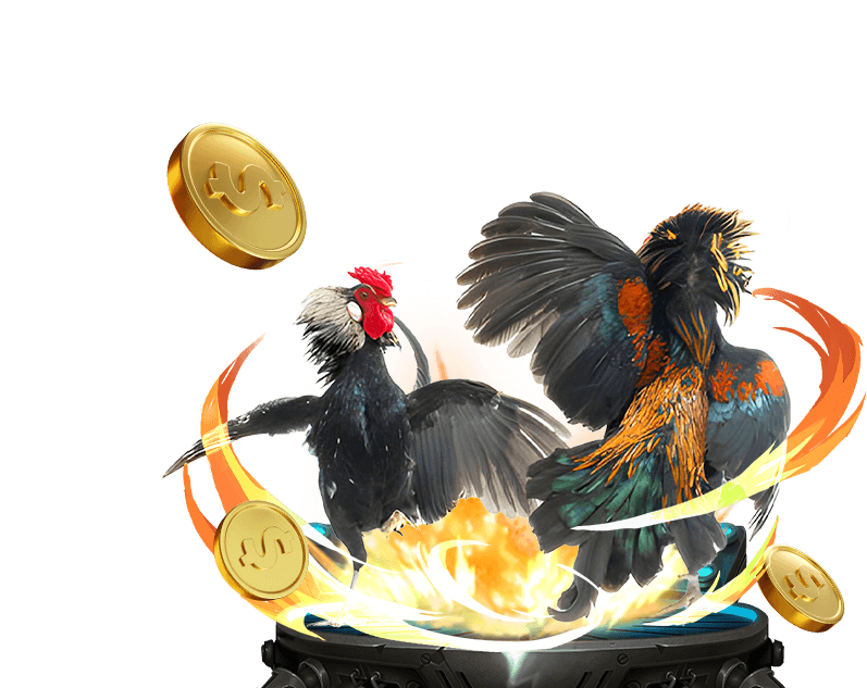 Giao diện cá cược đá gà S128 tại SCV288