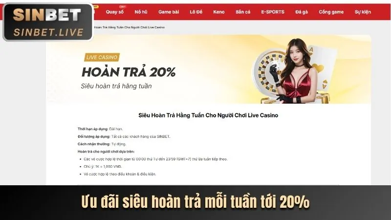 Tổng quan về Sinbet, nền tảng cá cược trực tuyến hàng đầu Việt Nam